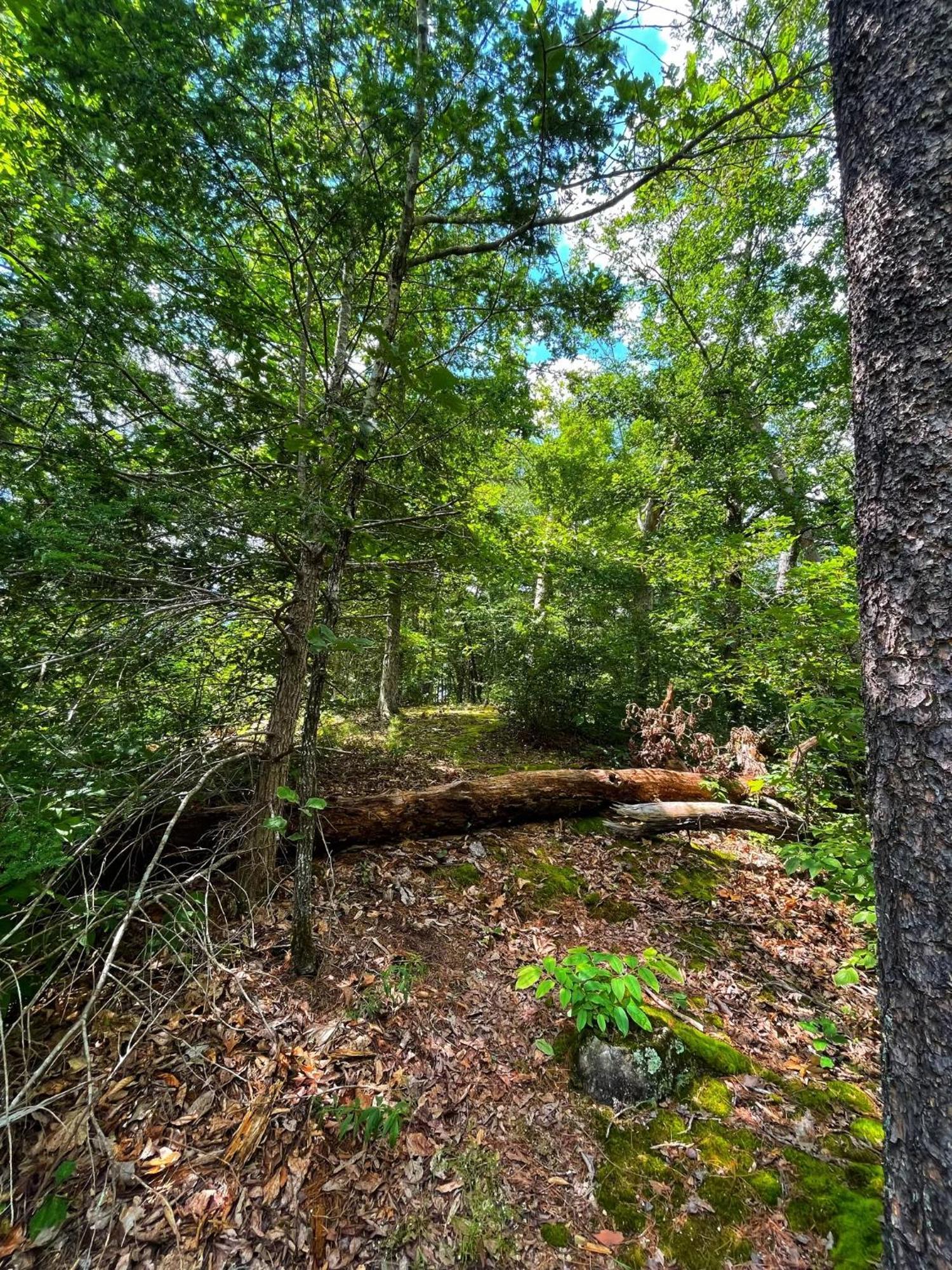 Tiny House, Wifi,Hot Tub,Secluded Βίλα Cosby Εξωτερικό φωτογραφία
