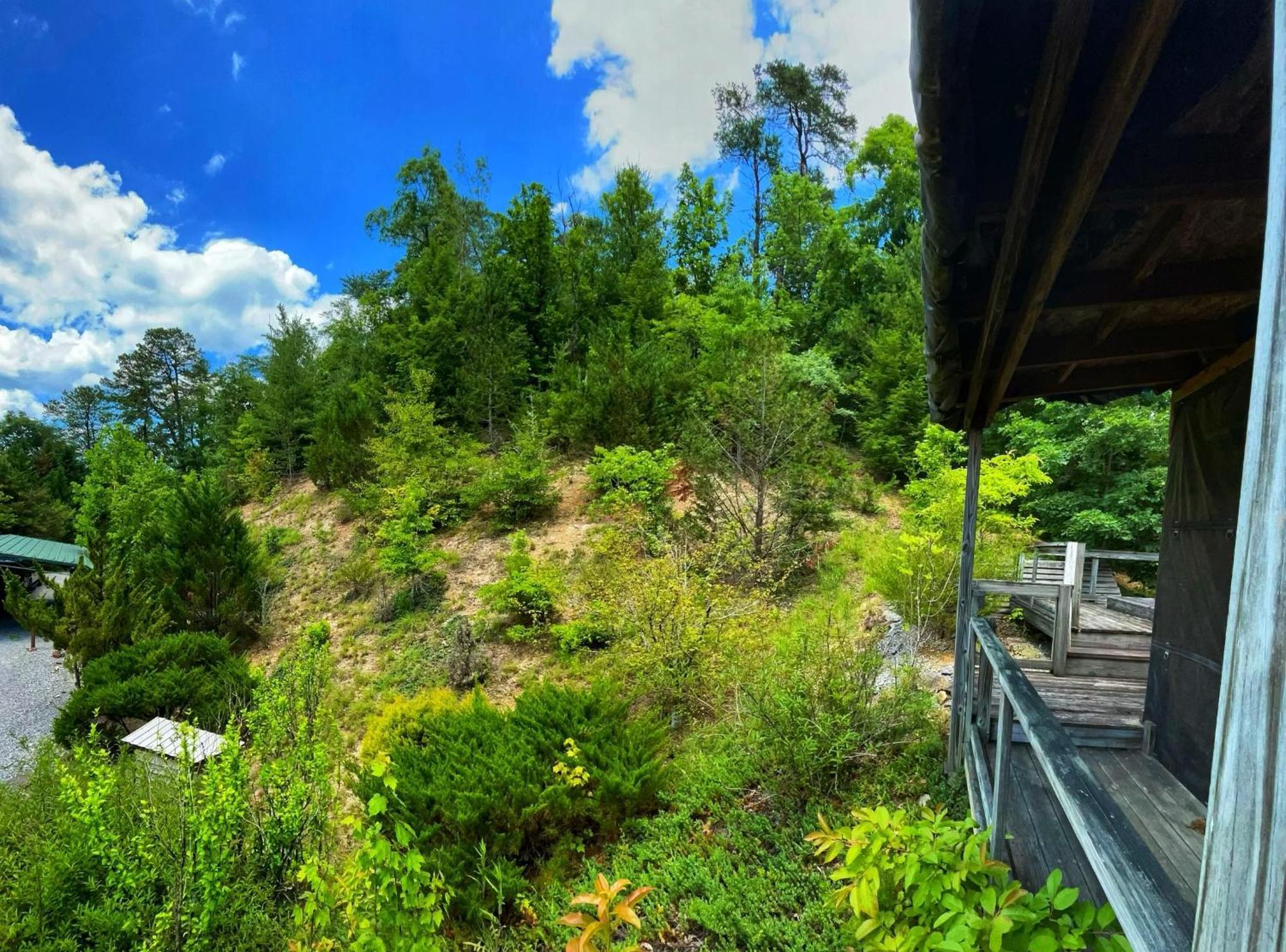 Tiny House, Wifi,Hot Tub,Secluded Βίλα Cosby Εξωτερικό φωτογραφία